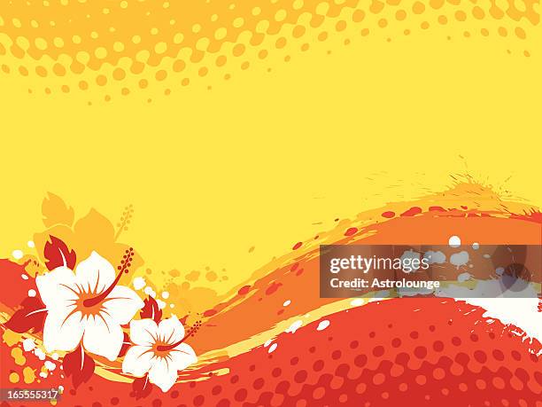 illustrations, cliparts, dessins animés et icônes de fond de l'été - culture hawaïenne