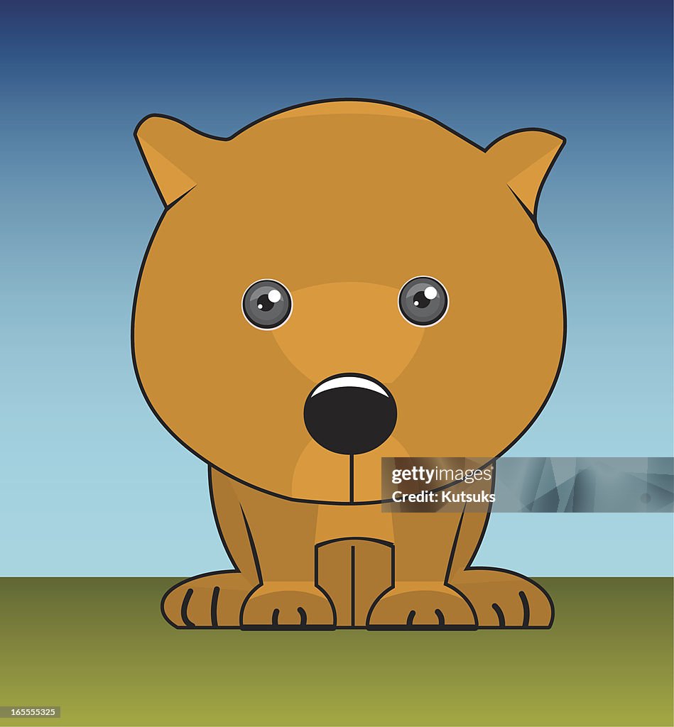 Teddy Bear