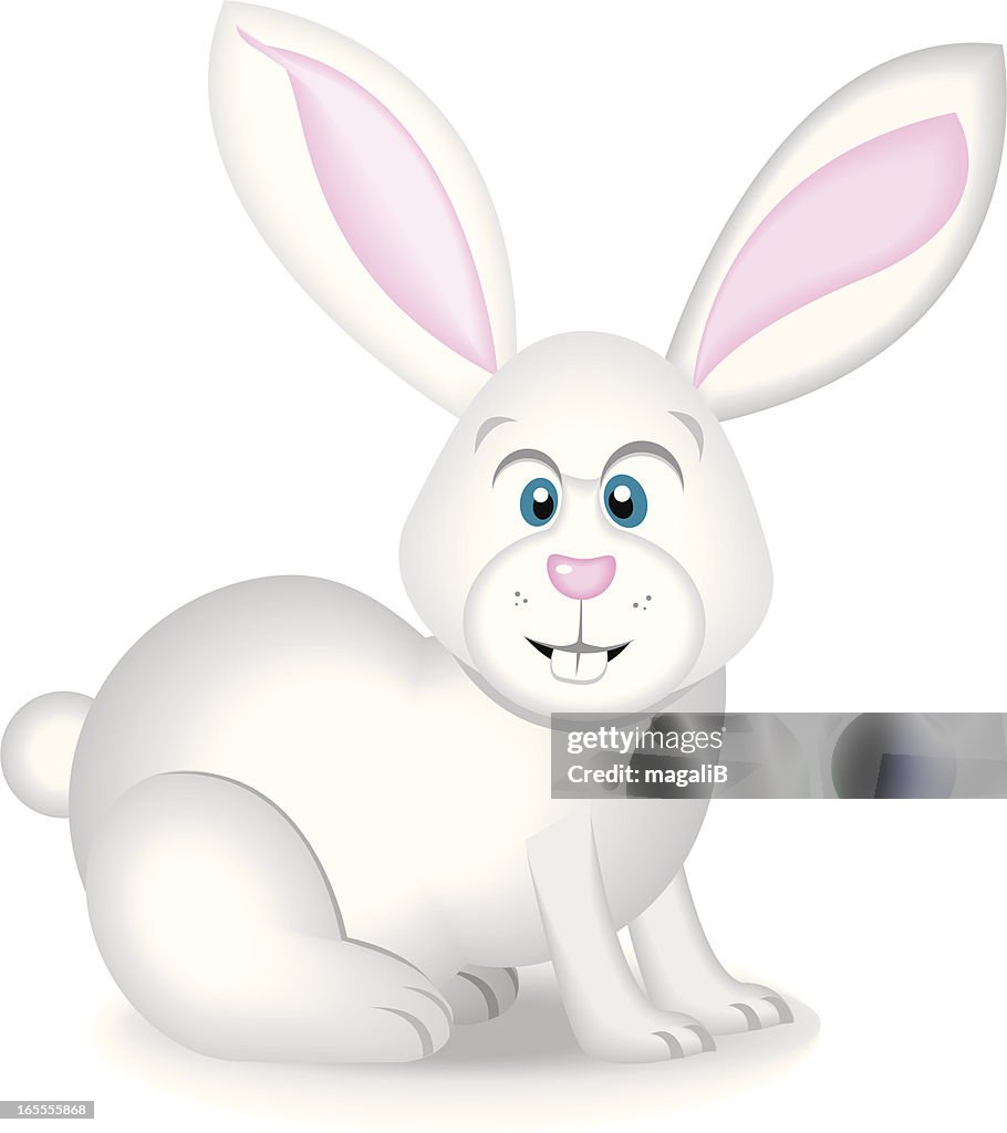 Rabbit High-Res Vector Graphic - Getty Images