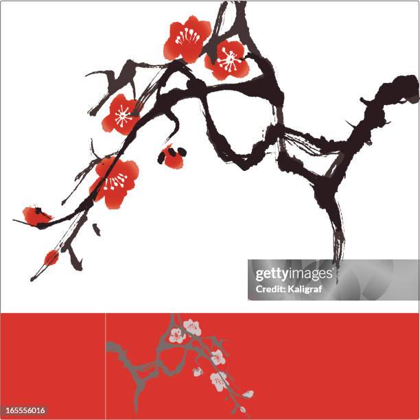 Ilustraciones de Flores Japonesas - Getty Images Ilustraciones de Flores Japonesas - Getty Images