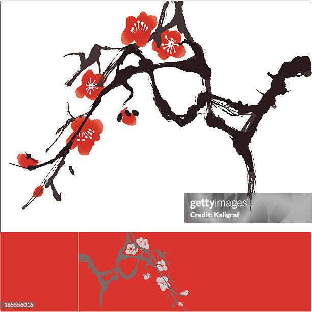 ilustrações, clipart, desenhos animados e ícones de estilo oriental pintura, flor de ameixa - japanese art