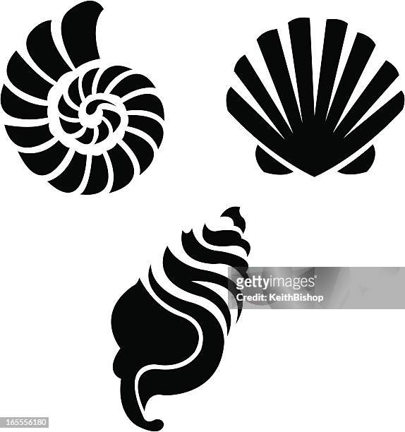 restaurant "sea shells" – strand - meeresmuschel stock-grafiken, -clipart, -cartoons und -symbole