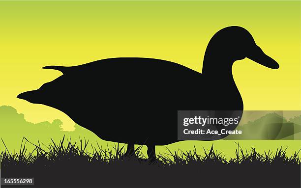 duck silhouette in profile - ducks walking stock illustrations
