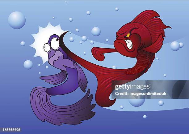 siamese fighting fish - slapping stock illustrations