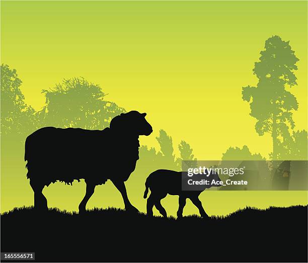 silhouettes of a sheep and lamb walking through a field - sheep stock illustrations