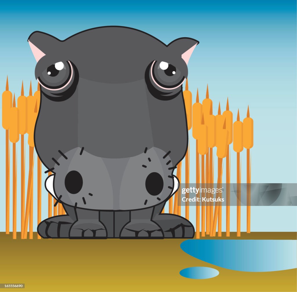 Hippo
