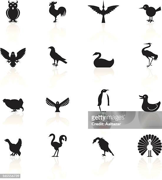 ilustrações, clipart, desenhos animados e ícones de preto símbolos de pássaros - sparrow hawk