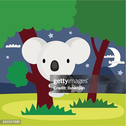 Koala Koala