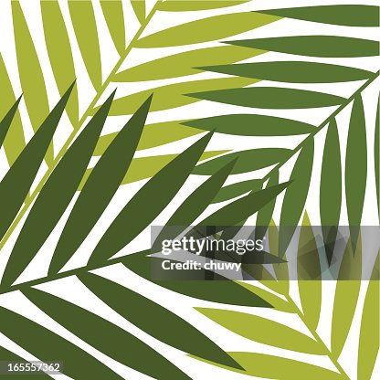 A Cartoon Template Of Jungle Leaves High-Res Vector Graphic - Getty Images A Cartoon Template Of Jungle Leaves High-Res Vector Graphic - Getty Images
