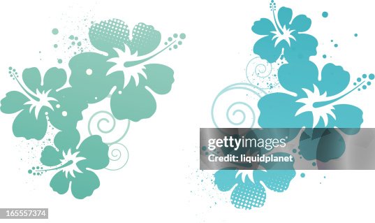 Hibiscus design elements Hibiscus design elements