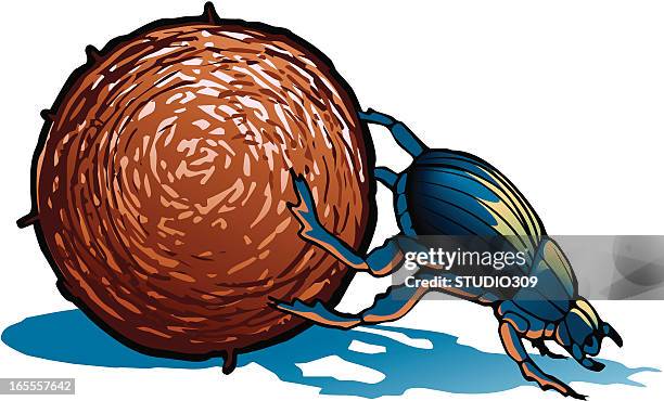 stockillustraties, clipart, cartoons en iconen met an illustration of a blue dung beetle - scarabee