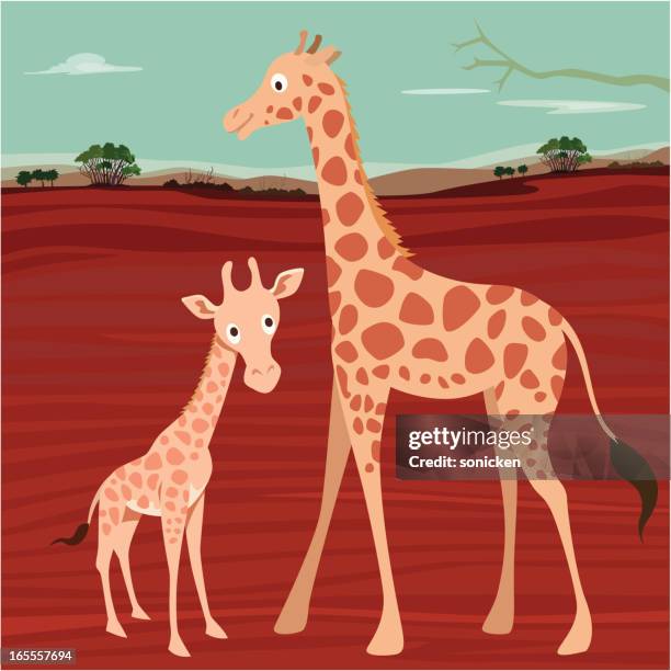 giraffe family - giraffe stock illustrations
