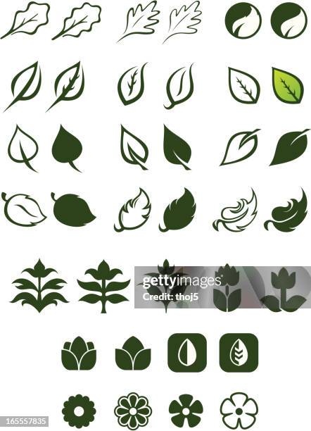 leaf logos vector set 2 - rose petal stock illustrations