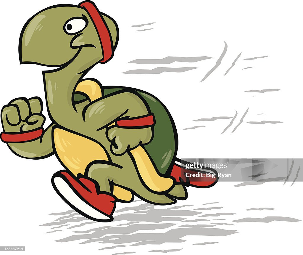 Racing Turtle High-Res Vector Graphic - Getty Images