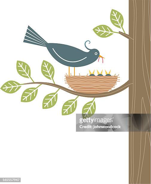birds nest - birds nest stock illustrations