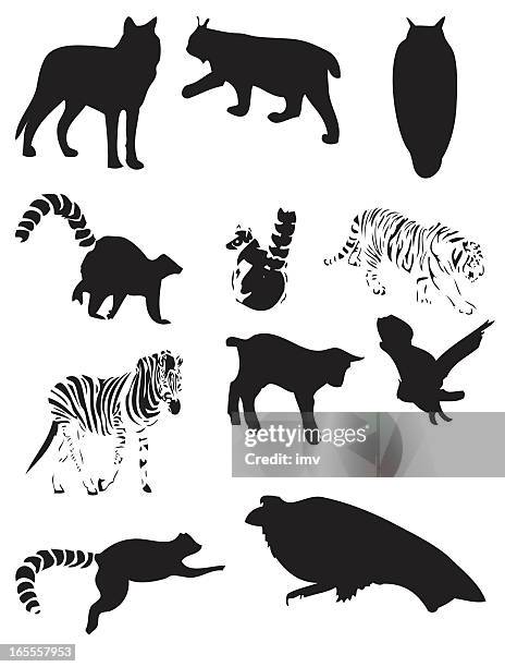 ilustraciones, imágenes clip art, dibujos animados e iconos de stock de siluetas de animales - búho real