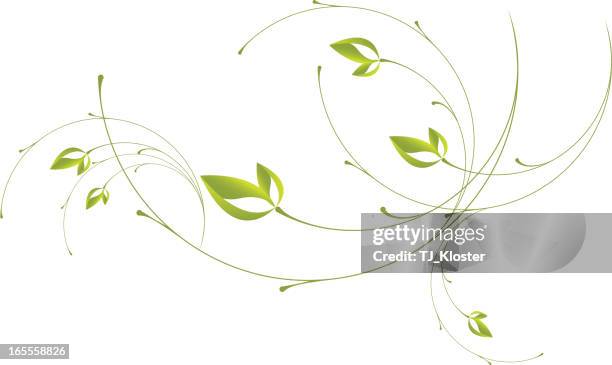 7 116点のつる草イラスト素材 Getty Images 7 116点のつる草イラスト素材 Getty Images