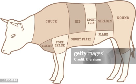 Vector Beef Diagram Vector Beef Diagram