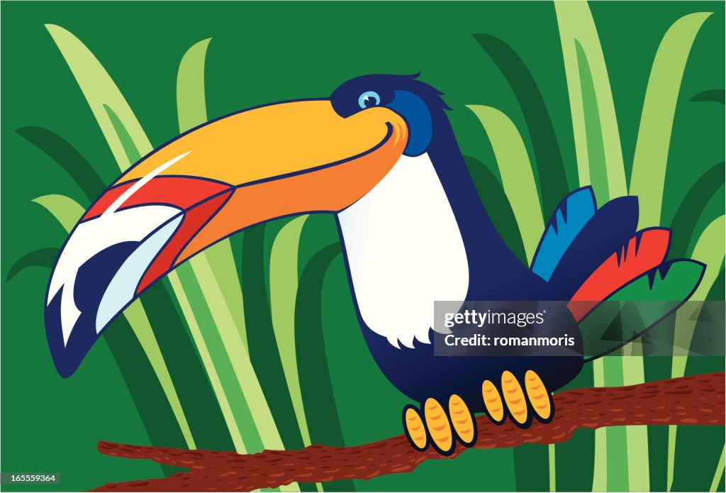 Toucan