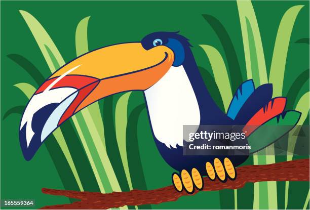toucan - chestnut mandibled toucan stock illustrations