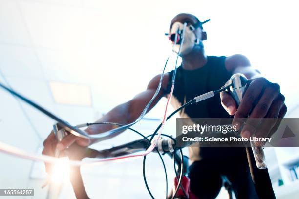 Sports Performance Analysis Lab Sports Science Lab Photos and Premium High Res Pictures - Getty Images