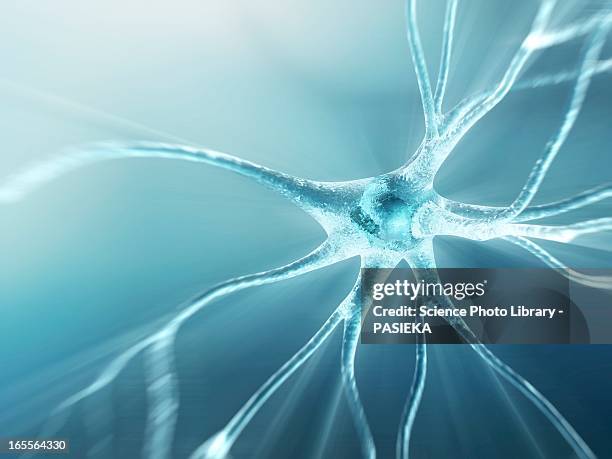nerve cell, artwork - nervenzelle stock-grafiken, -clipart, -cartoons und -symbole