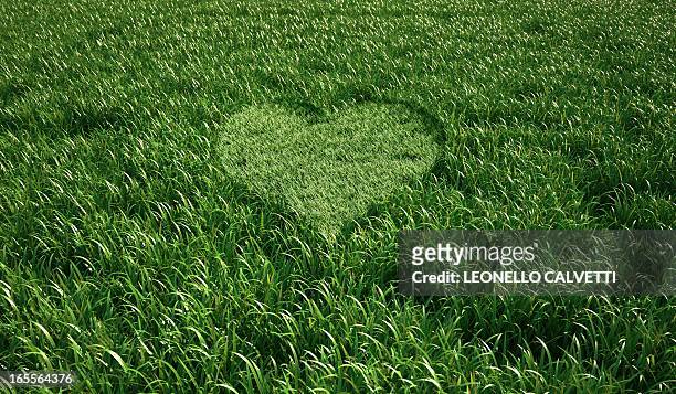 heart-shaped grass, artwork - nature background stock illustrations