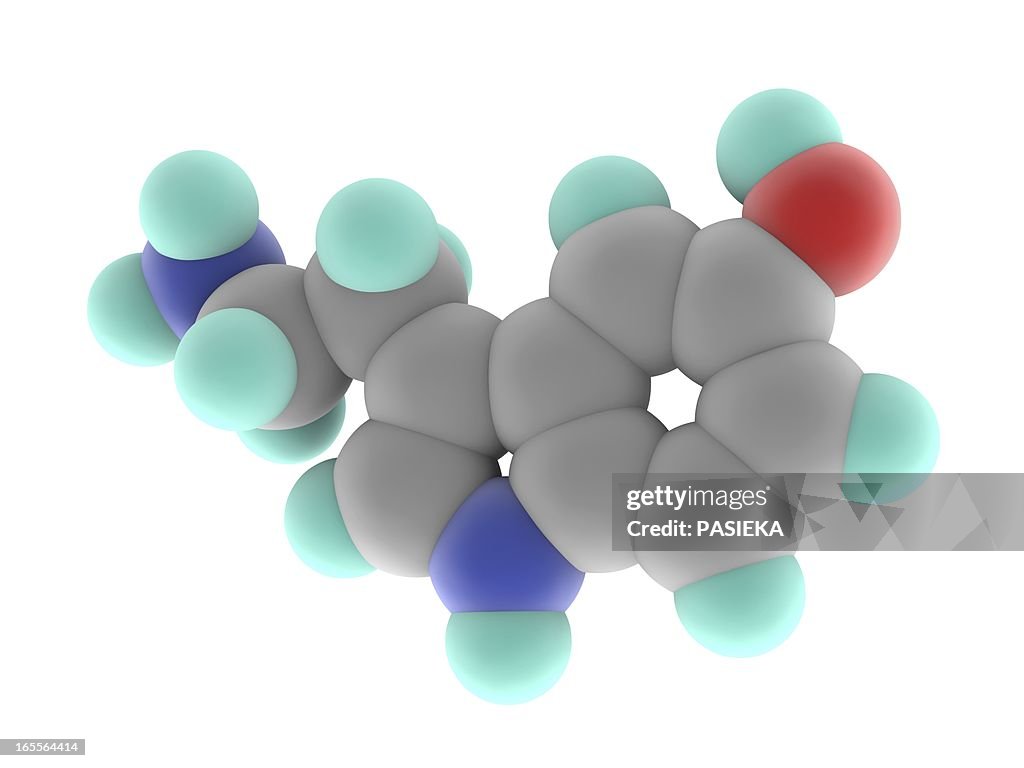 Serotonin molecule