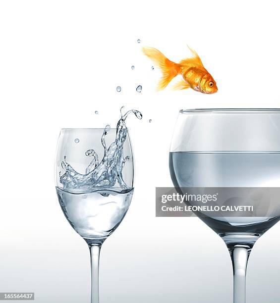 jumping goldfish, artwork - two options stock illustrations