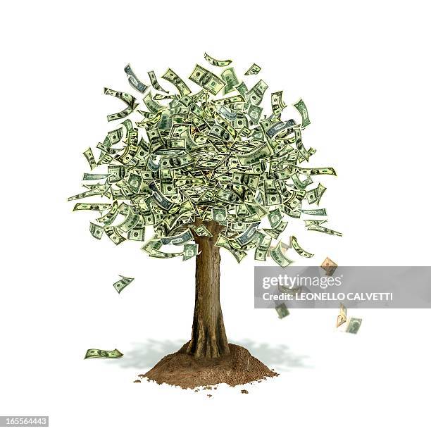 money tree, conceptual artwork - geld wächst nicht auf bäumen stock-grafiken, -clipart, -cartoons und -symbole