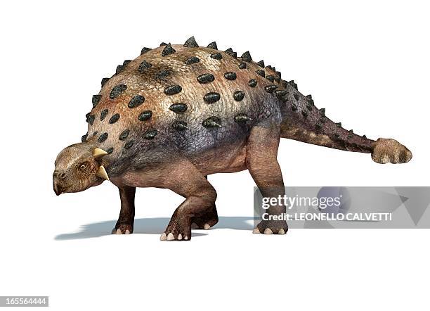 ankylosaur dinosaur, artwork - thyreophora stock-grafiken, -clipart, -cartoons und -symbole