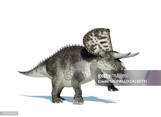 illustrations, cliparts, dessins animés et icônes de zuniceratops dinosaur, artwork - herbivore