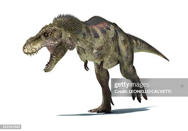 tyrannosaurus rex dinosaur, artwork - 動物像 幅插畫檔、美工圖案、卡通及圖標
