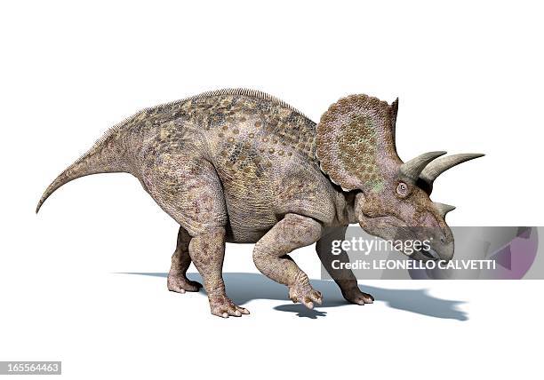 triceratops dinosaur, artwork - geologic time scale 幅插畫檔、美工圖案、卡通及圖標