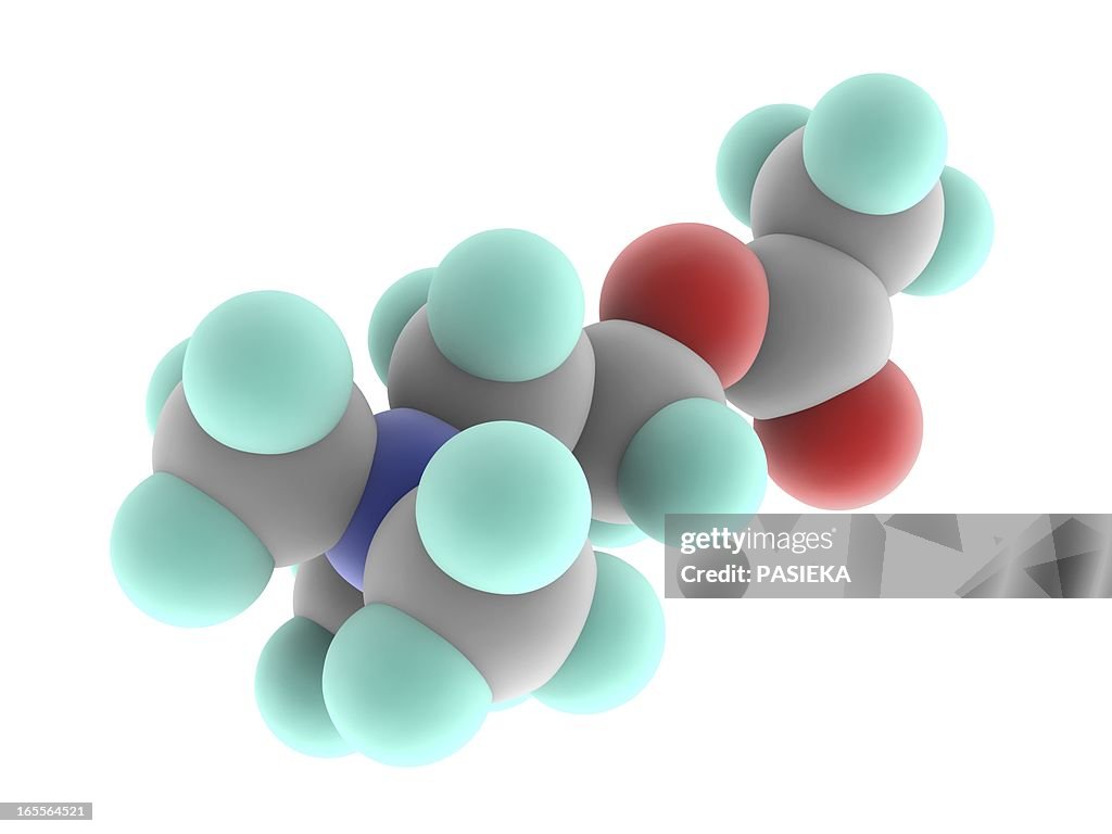 Acetylcholine molecule