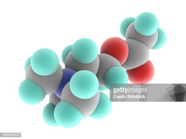 acetylcholine molecule - acetylcholine stock illustrations