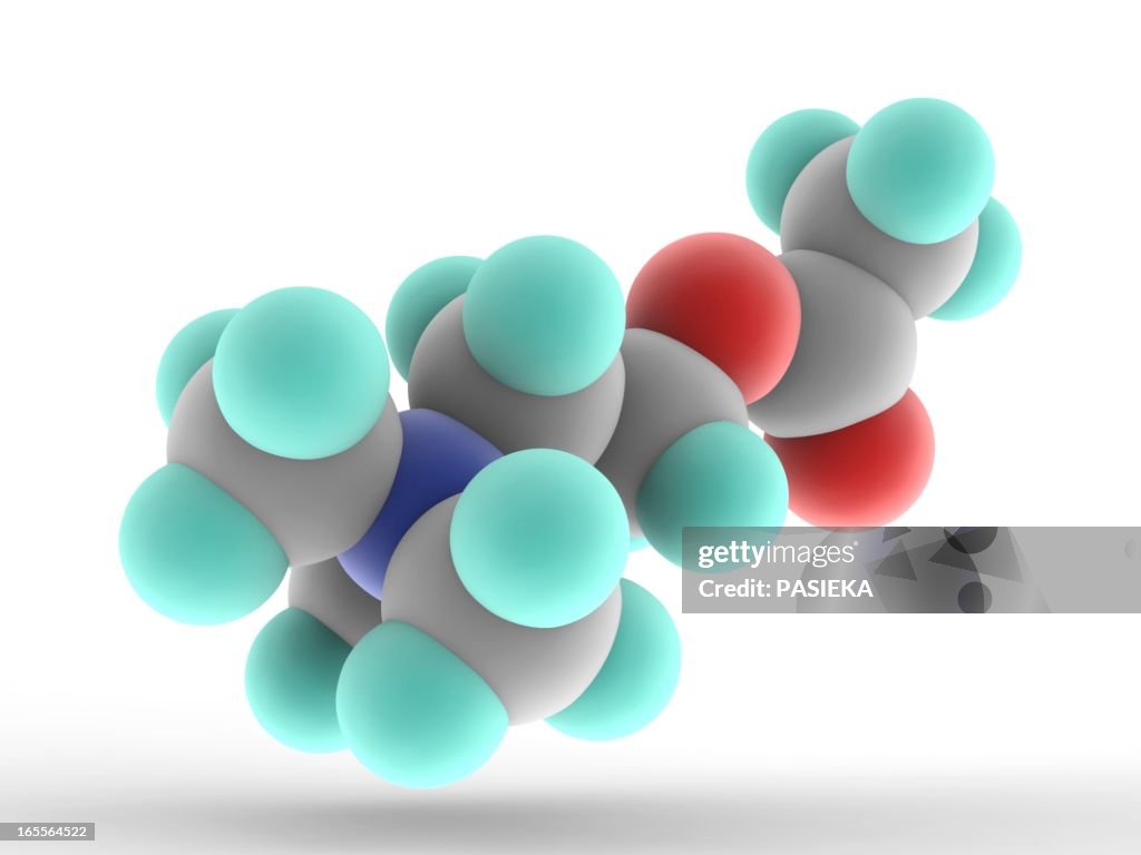 Acetylcholine molecule