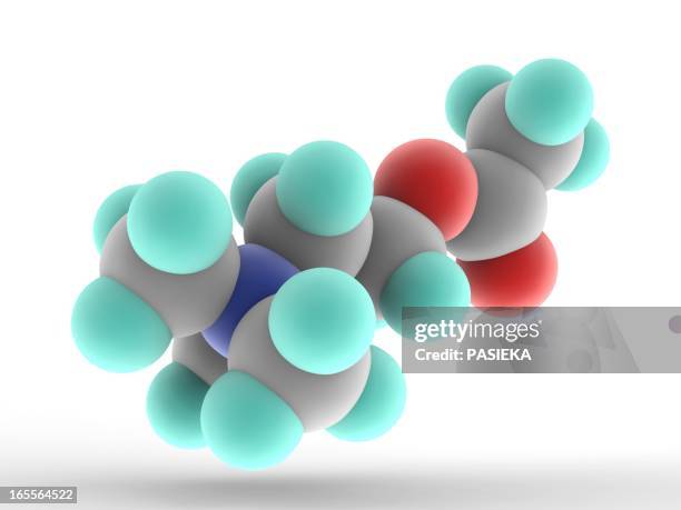 acetylcholine molecule - acetylcholine stock illustrations