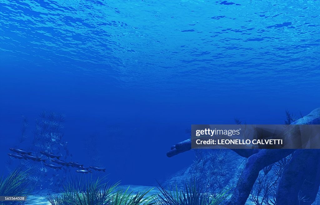 Underwater scene, artwork