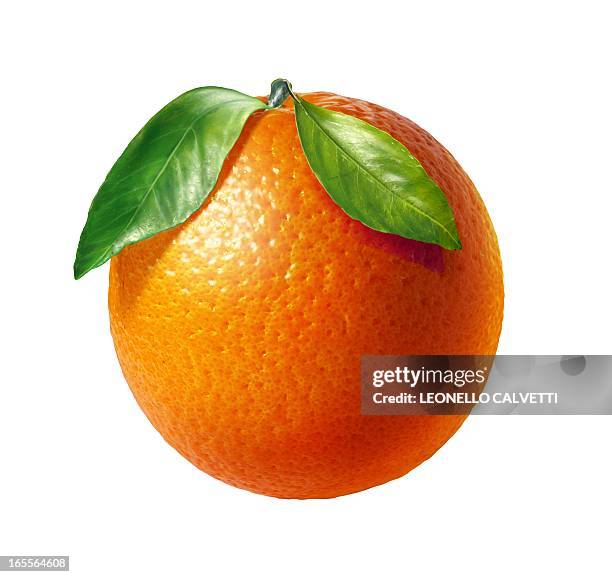 stockillustraties, clipart, cartoons en iconen met orange, artwork - sinaasappel