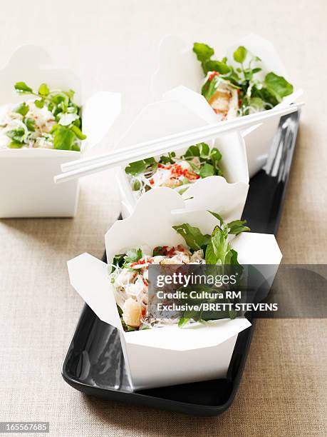 boxes of crab and noodle salad - vermicelle chinois photos et images de collection