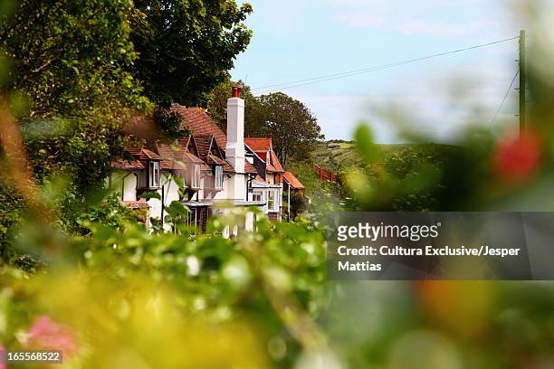 houses in rural landscape - village stock pictures, royalty-free photos & images
