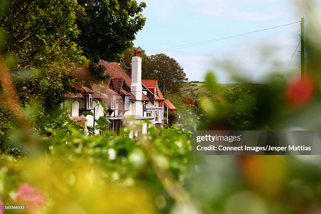 Houses in rural landscape
