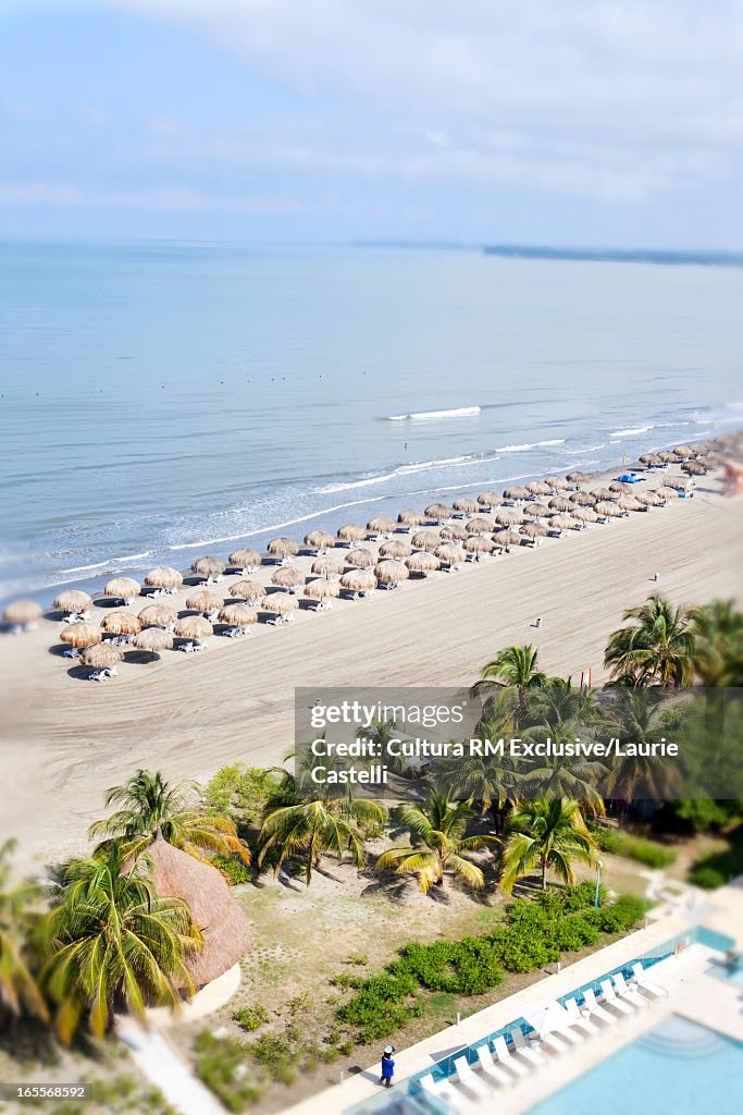 Aerial view of umbrellas on beach