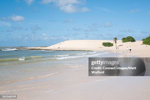waves washing up on tropical beach - isla de boa vista fotografías e imágenes de stock