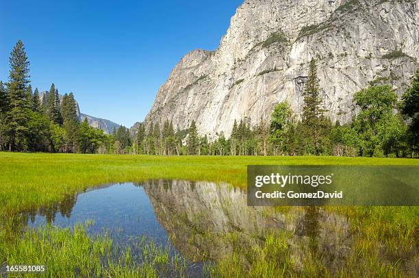 yosemite's liedeg meadow with reflection in water. - yosemite valley stock pictures, royalty-free photos & images