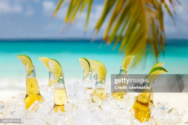beers with limes under the palm tree on a beach - strandfeest stockfoto's en -beelden
