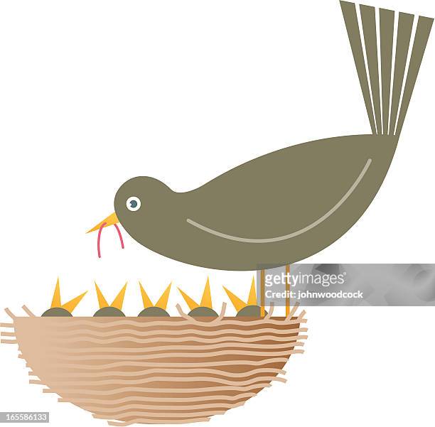 nest - birds nest stock illustrations
