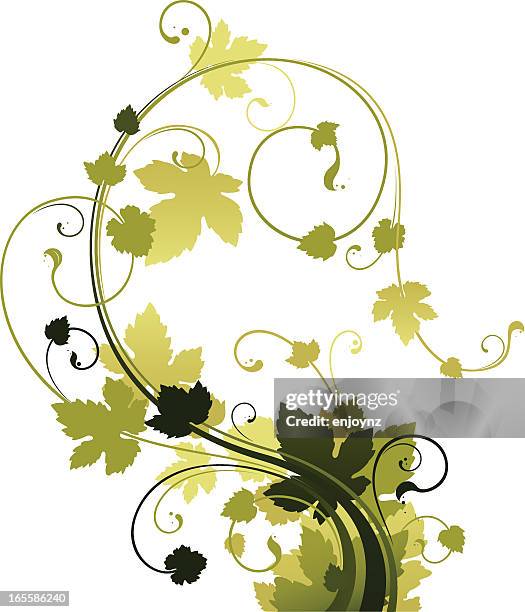 vine motif - curled up stock illustrations