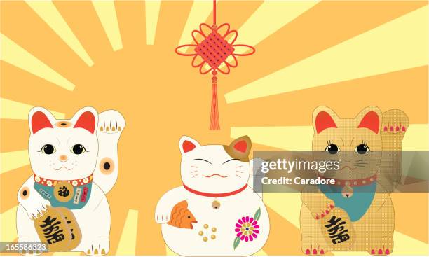ilustrações de stock, clip art, desenhos animados e ícones de lucky gatos - pedir atenção